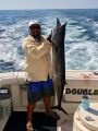 Manzanillo Sport Fishing